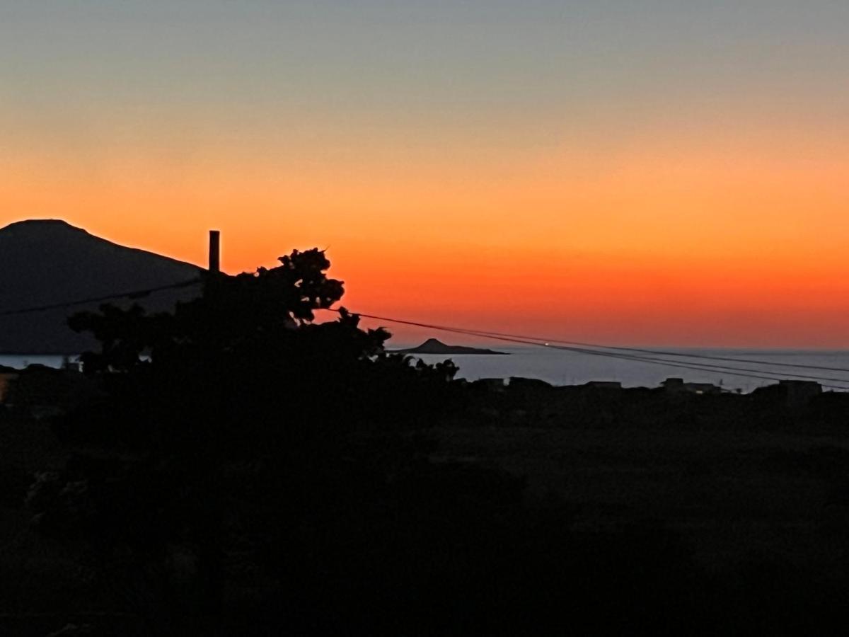 Il Giardino Della Falena Villa Favignana Bagian luar foto
